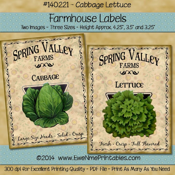 Primitive Cabbage Lettuce Printable Farmhouse Labels - Seed Pack Images - Rustic Images - Digital PDF or JPG File