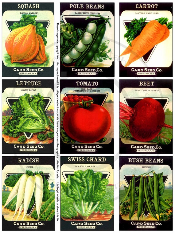 Old Seed Pack Printable Collage Sheet - Vegetable Seed Pack Images - tomato, radish, beet, lettuce, beans seed pack printables PDF, JPG file