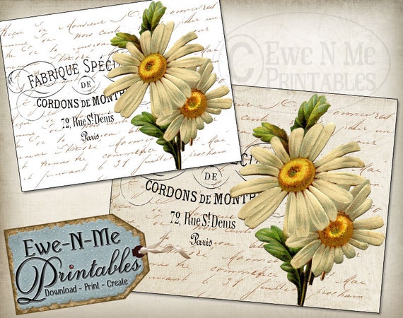 Printable French Country Wall Decor Cottage Daisy, Farmhouse,  Printable Image for Fabric & Paper, JPG,  Commercial Use,  Printable Wall Art