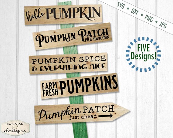 Pumpkin svg - pumpkin patch SVG - pumpkin spice svg - hello pumpkin svg