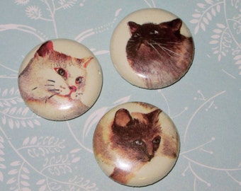 Cat Pins (3-set)