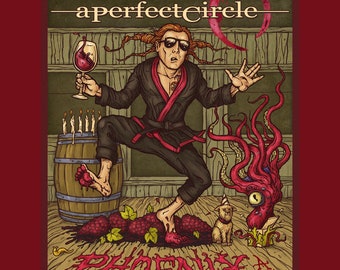 A Perfect Circle April 17th 2024 Phoenix AZ Concert Poster, Music Poster