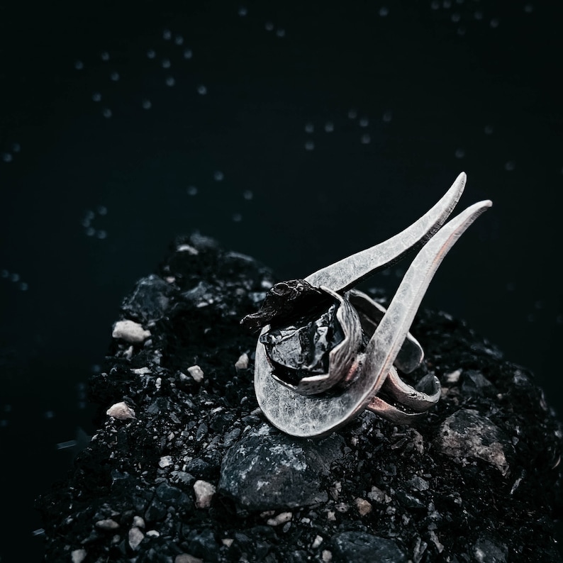 Space Celestial Jewelry Comet Ring with Authentic Campo del Cielo Raw Meteorite Shooting Star Newoise Unisex Statement Cocktail Ring