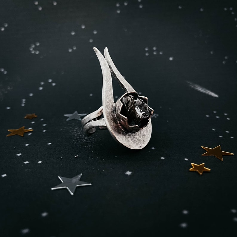 Space Celestial Jewelry Comet Ring with Authentic Campo del Cielo Raw Meteorite Shooting Star Newoise Unisex Statement Cocktail Ring