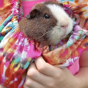 May include: A brown and white guinea pig is being held in a colorful tie-dye fabric sling. The sling is pink, orange, yellow, green, and blue.