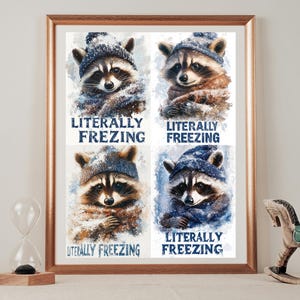 A set of four Freezing Raccoon posters