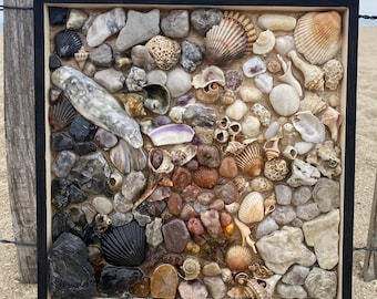 Arte de conchas, arte de conchas marinas, decoración costera