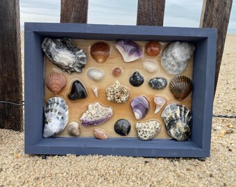 Arte de conchas, arte de conchas marinas