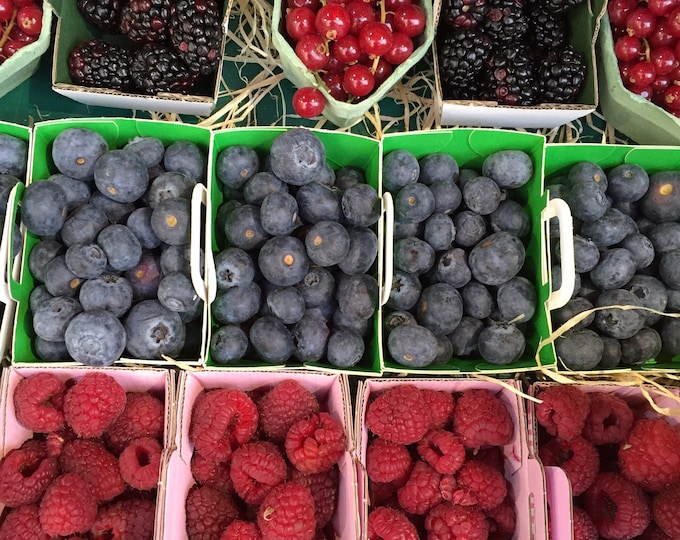Paris Window Shopping