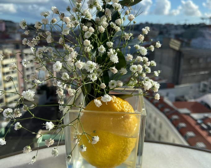 Rooftop Tabletop- Lisboa, Portugal
