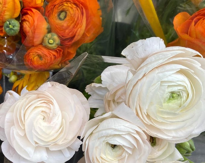 Market Fresh Flowers- No Tocas