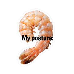Shrimp Posture Vinyl Decal - Water and UV resistant