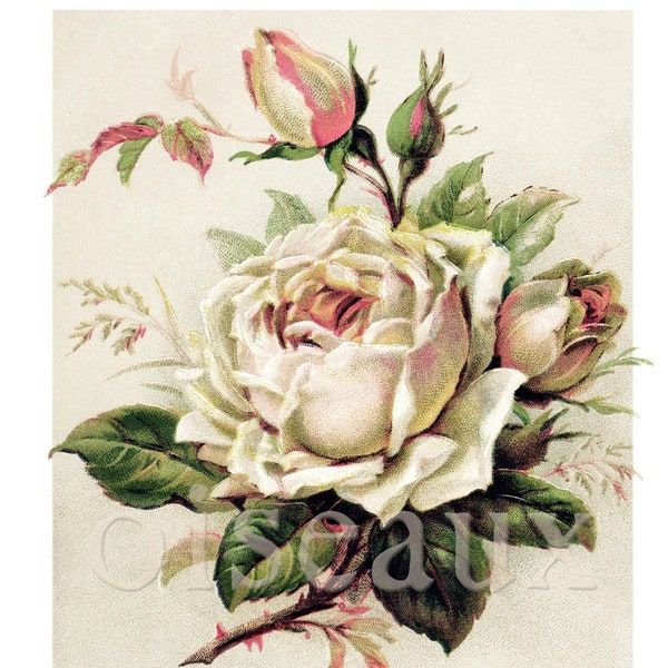 Ex libris con rose antiche - Ex libris personalizzati - Set da 24 - Regalo per amanti del giardinaggio, stile vintage da biblioteca