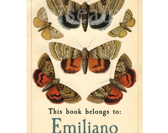 Vintage Moth Bookplates - Personalized Ex Libris - Unique, Beautiful Present for Her or Him, Teacher, Heritage Book Labels