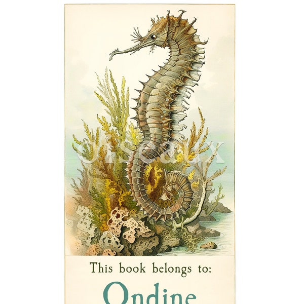 Seahorse Bookplates - Vintage Book Labels - Personalized Ex Libris, Marine Life, Heritage Library, First Anniversary, Oceanographer Gift