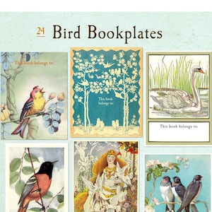 Assorted BLANK Vintage Birds Bookplates - Write in Your Name - Mixed Set of 24, Book Club, Teacher Gift, Adorable Present