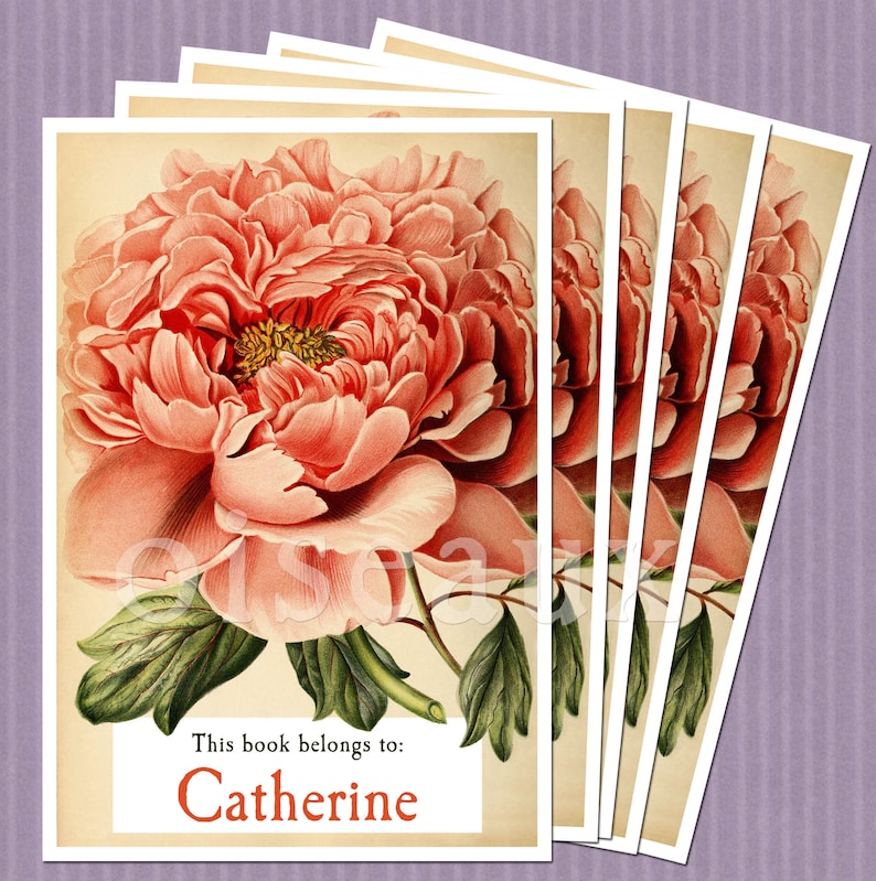 Vintage Peony Personalized Bookplates Custom Book Plates Etsy