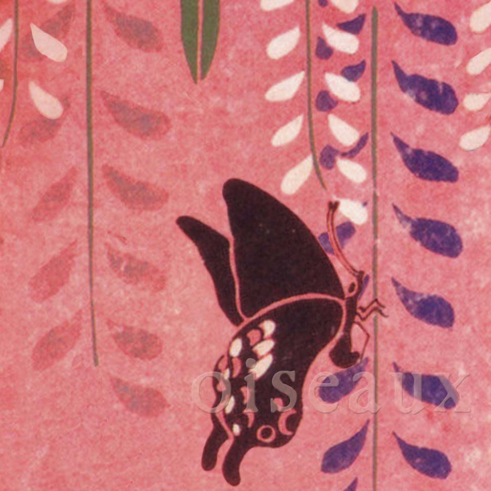 Butterfly Jungle Bookplates Personalized Vintage Book Labels Etsy