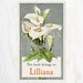 see more listings in the Flower/Nature Bookplates section