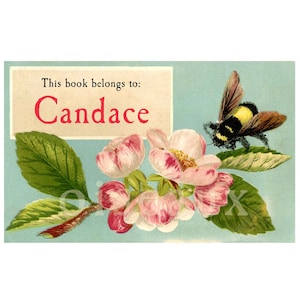 Vintage Bumble Bee Bookplates - Custom Book Labels - Ex Libris, Gorgeous + Unique Birthday Gift, Mother&#39;s Day