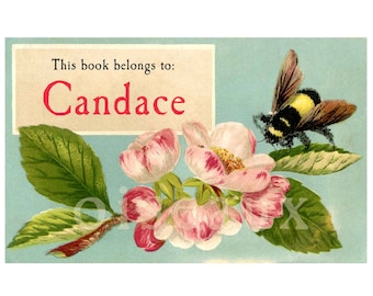 Ex libris de abeja - Ex libris personalizados - Juego de 24 - Un magnífico regalo para amantes de los libros