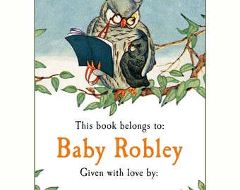 Baby Shower - Personalized Bookplates - Baby Owl Book Labels - Given With Love From, Write In Your Name, Adorable Custom Gift, Ex Libris