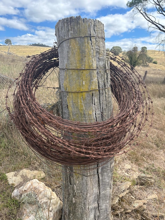 vintage barbed wire accessory 有刺鉄線 Wire Barbed Antique