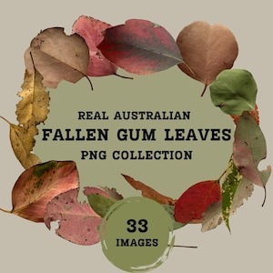 Australische Gum Blätter Digitaler Download PNG Kunstsammlung Scrapbook Papier Herbst Design Native Artwork Einladung Botanische Drucklehre