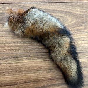 Real FOX TAIL tanned for Cosplay mancave keepsake fluffy cabin decor rural home unique item high quality Australian made