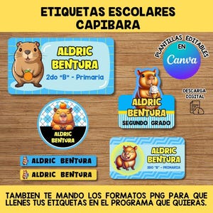 EDITABLE SCHOOL LABELS capybara / stickers for school / editable canva template / school labels / capybara label designs
