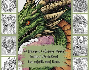 30 Dragon Coloring Pages - "8.5x11" inch Dragon Coloring pages for adults and teens| Instant Download PDF| Printable and Digital