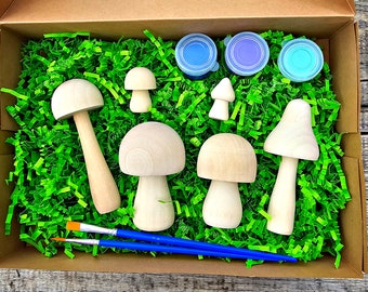 Doe-het-zelf-set voor het schilderen van houten paddenstoelen