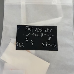 Art Mystery Bag with 8 Fall Items Assorted Surprise Gift Watercolor Painted Shells Mini Canvas