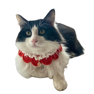May include: A black and white cat wearing a red crocheted collar with white trim and a gold charm with Chinese characters.