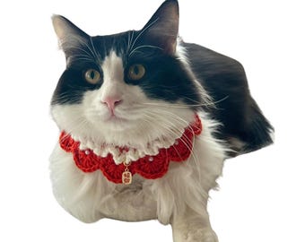 Persimmon Pet Collar Crochet Pattern: Cat & Dog Amigurumi (PDF)