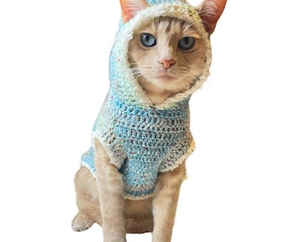 May include: A light blue and white crocheted cat hoodie with a white trim. The hoodie is on a cat with orange fur and blue eyes.
