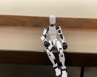 3d printed action figure (Dummy 13)