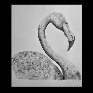 Schwarzweiss-Flamingo-Kunst | Minimalistischer einfarbiger Wanddruck
