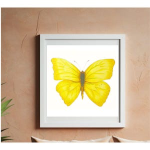 Yellow Butterfly Art Print | Butterfly Watercolor Art Print