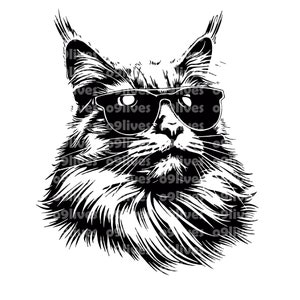 Gafas de sol de gato Cool Cat Maine Coon Cat Shades Cat Vector Art Clipart Sublimación Grande Transparente PNG SVG Descarga digital Cricut Cut File