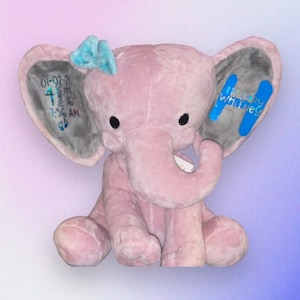Adorable elefante con estadísticas de nacimiento