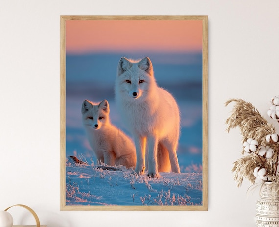 置物 Figurine: Two Arctic Fox Cubs Two Arctic Fox Cubs, Hornvik, Iceland - Print. Art Prints, Posters