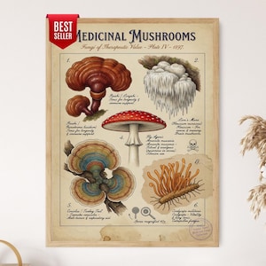 May include: A framed botanical print titled Medicinal Mushrooms, Fungi of Therapeutic Value - Plate IV - 1897. It features six detailed illustrations of various fungi with scientific names, descriptions, and a red Best Seller banner at the top left.