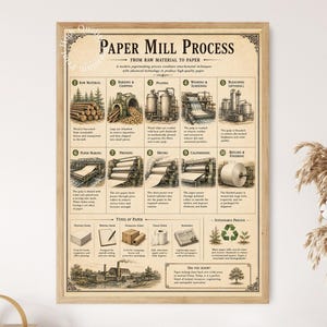 May include: A framed educational poster titled Paper Mill Process, featuring ten numbered illustrations detailing papermaking steps from raw material to finishing, along with types of paper and a sustainable process section in a vintage style.