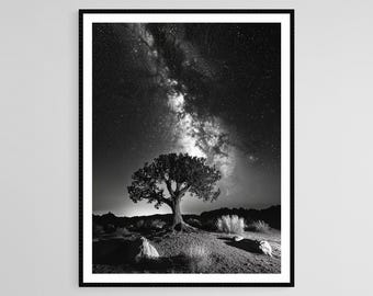 Joshua Tree Art Print, Starry Night Sky, Milky Way, Desert Landscape, Long Exposure