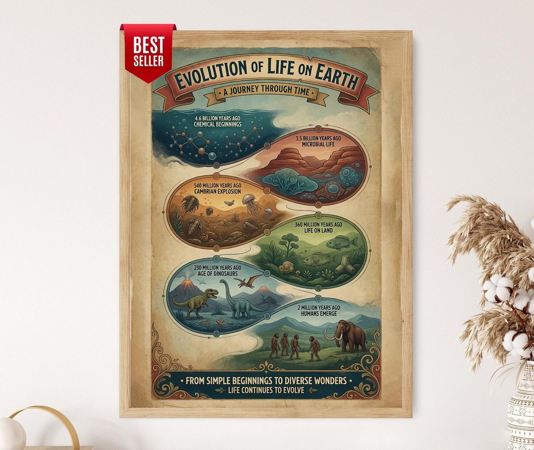 Evolution of Life on Earth Timeline Print, Educational Wall Art Poster ...