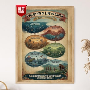 May include: A framed educational poster titled Evolution of Life on Earth, A Journey Through Time. It features a timeline with illustrations of chemical beginnings, microbial life, the Cambrian explosion, life on land, dinosaurs, and early humans.