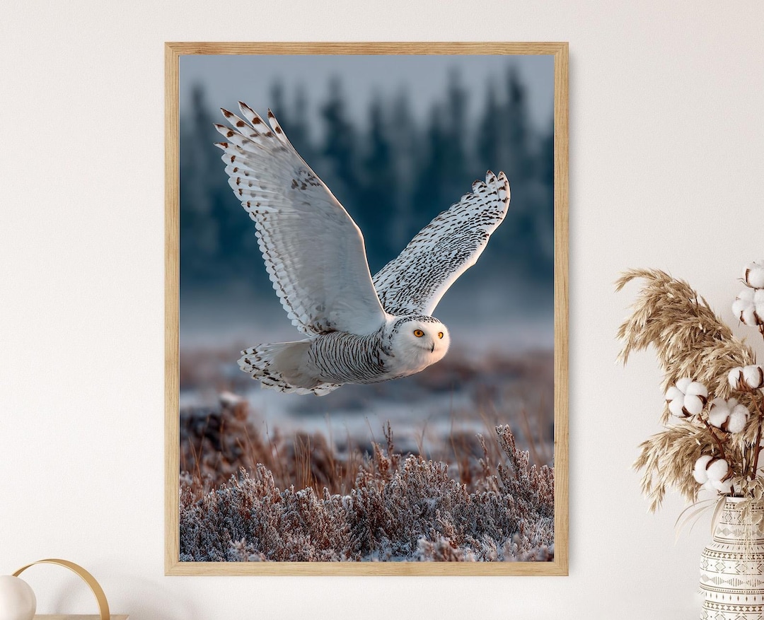 Snowy Owl in Flight Art Print: Winter Bird Photography, Arctic Wildlife ...