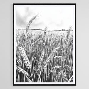 Detailed Rye Field Pencil Drawing, Black and White Farm Art, Countryside Wall Decor