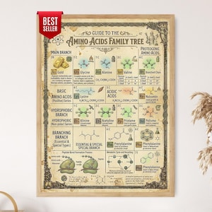 Op de afbeelding: Een ingelijste educatieve poster getiteld Guide to the Amino Acids Family Tree, met een achtergrond in vintage perkamentstijl met gedetailleerde chemische structuren, wetenschappelijke tekst en illustraties van diverse aminozuren.